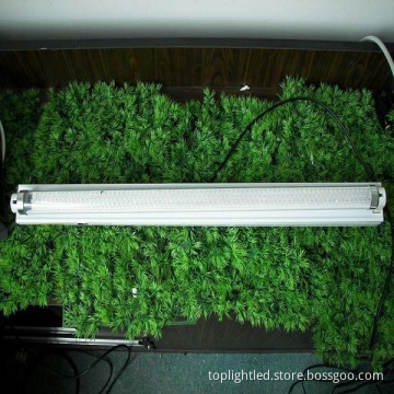 Energy Saving LED T8 Tube